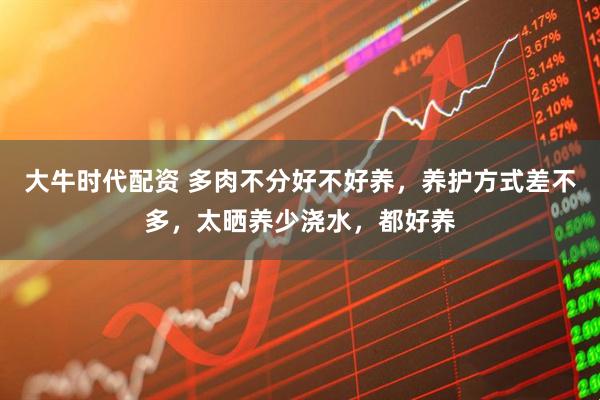 大牛时代配资 多肉不分好不好养，养护方式差不多，太晒养少浇水，都好养